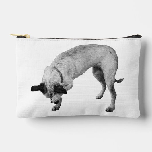 Blush-and-Go Pouch Zubehörtasche (Vorderseite)