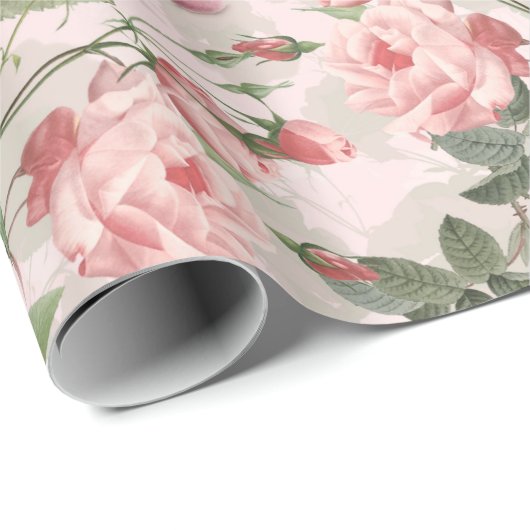 Blush Antique Redouté Rose Zweig auf rosa Muster Geschenkpapier (Rolleneckpunkt)