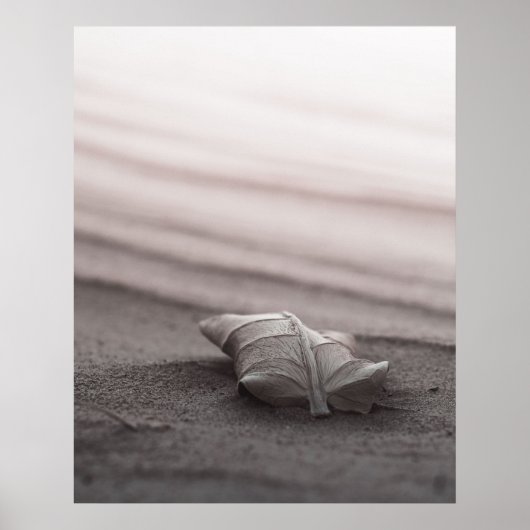 Blush Beach mit Leaf Poster (Vorne)