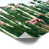 Blush Cactus Poster (Ecke)