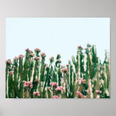 Blush Cactus Poster (Vorne)