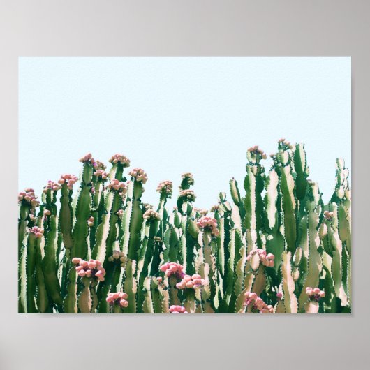 Blush Cactus Poster (Vorne)