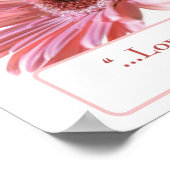 "Blush" Daisy Poster (Ecke)