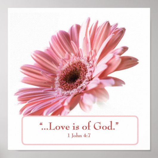 "Blush" Daisy Poster (Vorne)