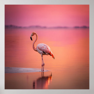 Blush Gold Flamingo Anmut Poster