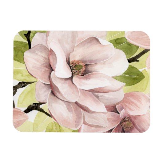 Blush Magnolia Blume Magnet (Horizontal)