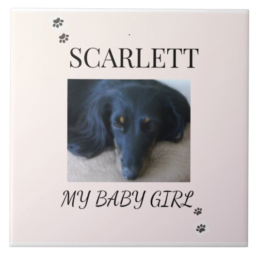 Blush Minimal Pet 1 Photo with Paw Prints Fliese (Vorderseite)