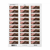 Blush peonies lights rustikale Scheune Holz Hochze (Vorne)