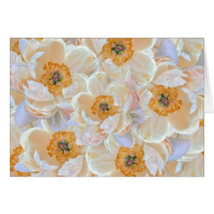Blush Peony Card