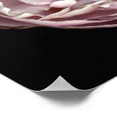 Blush Peony Poster (Ecke)