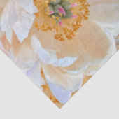 Blush Peony Tissue Paper Seidenpapier (Detail)