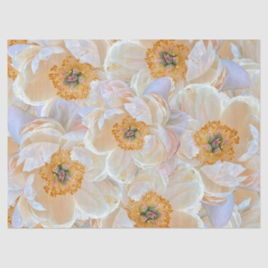 Blush Peony Tissue Paper Seidenpapier (Vorderseite)