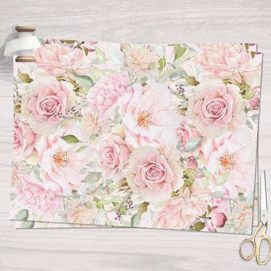 Blush Pink Aquarell Rose Blume Bloral Seidenpapier