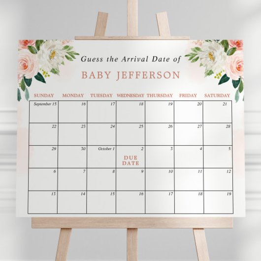 Blush Pink Babydusche Ratschlag Fälligkeitszeitpla Poster