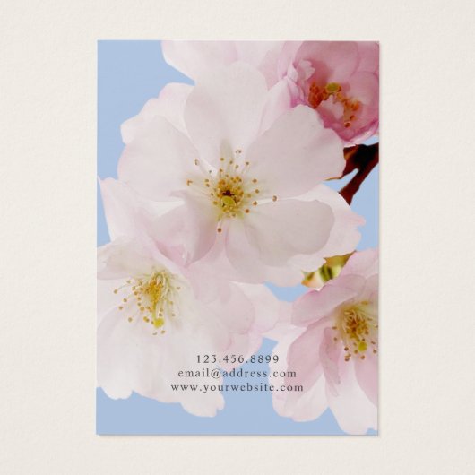 Blush Pink Cheroms Earring Display Card (Rückseite)