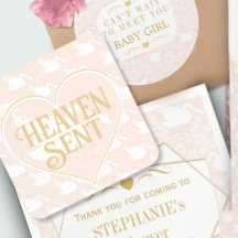 Blush Pink & Gold Swan Paradies Baby Dusche