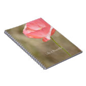 Blush Pink Iceland Poppy Flower (my photography) Notizblock (Rechte Seite)