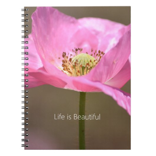 Blush Pink Iceland Poppy Flower (my photography) Notizblock (Vorderseite)