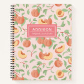Blush Pink Peach Spiral Notebook Notizblock (Vorderseite)
