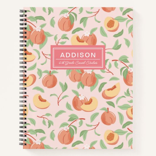 Blush Pink Peach Spiral Notebook Notizblock (Vorderseite)