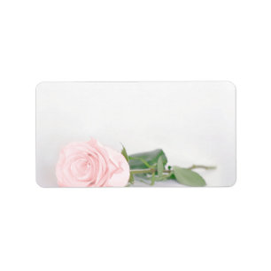 Blush Pink Rose Blank DIY Print Wedeladresse Adressaufkleber