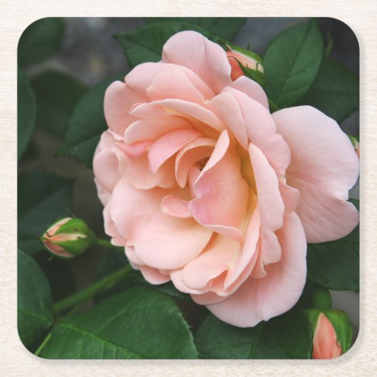 Blush-Rose Bluepapier-Untersetzer Rechteckiger Pappuntersetzer (Vorderseite)
