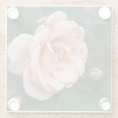 Blush Rose Blumenglas Untersetzer (Rückseite)