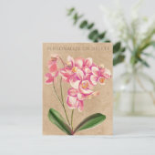 Blush Taupe Orchideo Personalisierte Wasserfarbe Postkarte (Stehend Vorderseite)