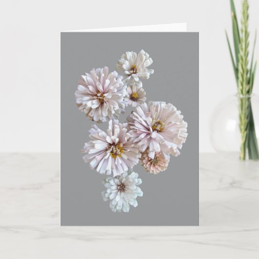 Blush Zinnia Folded Greeting Card Karte (Vorderseite)