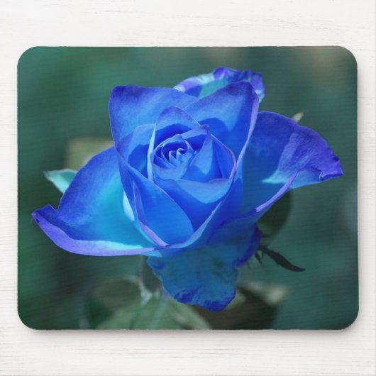 Blushed Blue-Rose-MausPad Mousepad (Vorne)