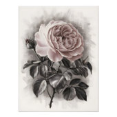 Blushing Bloom Fotodruck (Vorne)