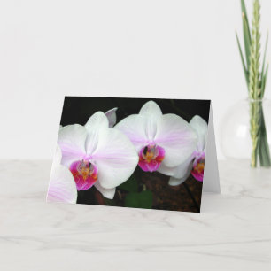 Blushing Bride Orchids Grußkarte Karte