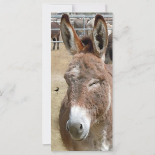 Blushing Burro - Kinder Lesezeichen Schulbedarf