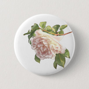 Blushing Ivory Peach Rose Button