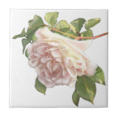 Blushing Ivory Peach Rose Fliese (Vorderseite)