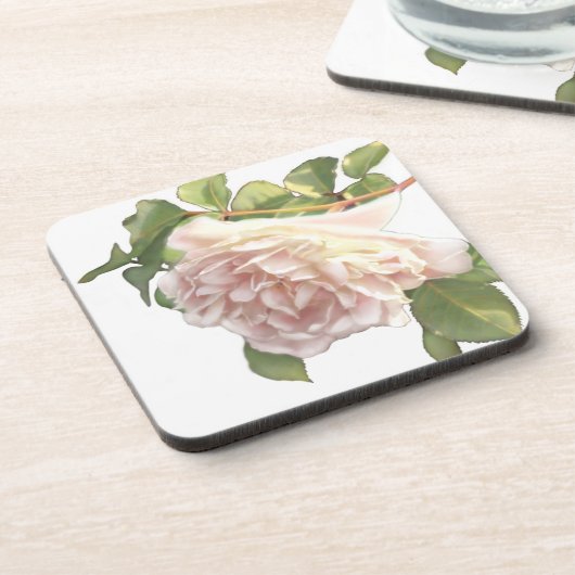 Blushing Ivory Peach Rose Getränkeuntersetzer (Linke Seite)