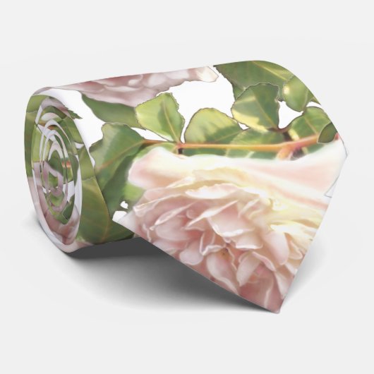 Blushing Ivory Peach Rose Krawatte (Gerollt)