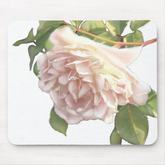 Blushing Ivory Peach Rose Mousepad (Vorne)