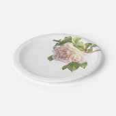 Blushing Ivory Peach Rose Pappteller (Schrägansicht)