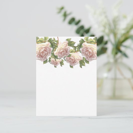 Blushing Ivory Peach Rose Postkarte (Stehend Vorderseite)