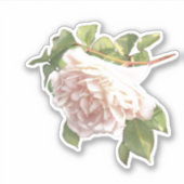 Blushing Ivory Pink Peach Rose Aufkleber (Vorderseite)