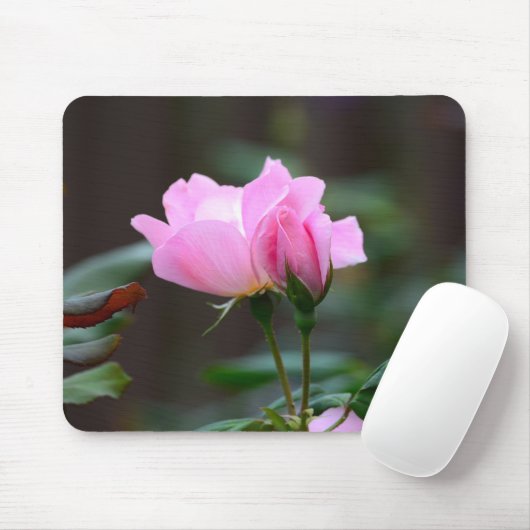 Blushing Knockout Rose Mouse Pad Mousepad (Mit Mouse)