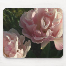 Blushing Petals Delight