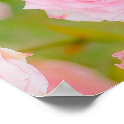 Blushing Petals Poster (Ecke)