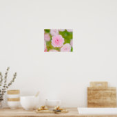 Blushing Petals Poster (Küche)