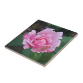 Blushing Rosenknospe Keramik Tile Fliese (Seite)