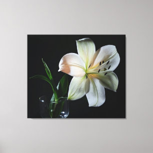 Blushing White Lilienummantelte Canvas Print Leinwanddruck