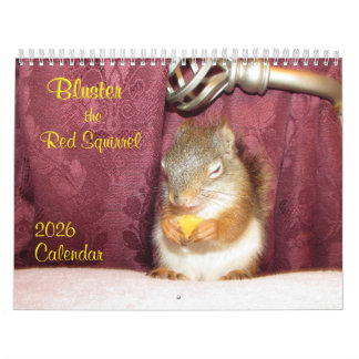 Bluster das rote Eichhörnchen 2026 Kalender