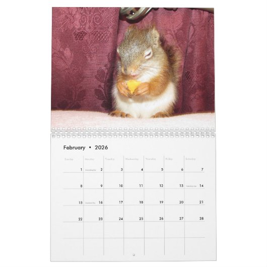 Bluster the Red Squirrel 2026 Calendar Kalender (Feb 2026)