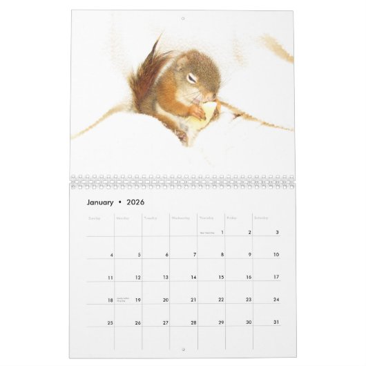 Bluster the Red Squirrel 2026 Calendar Kalender (Jan 2026)
